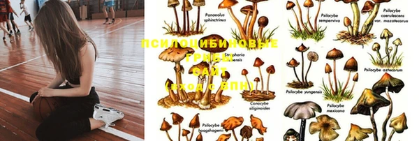 марихуана Балахна