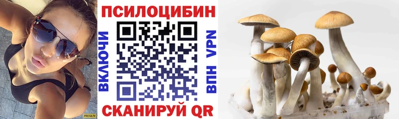 Псилоцибиновые грибы мухоморы  как найти наркотики  Ленск 